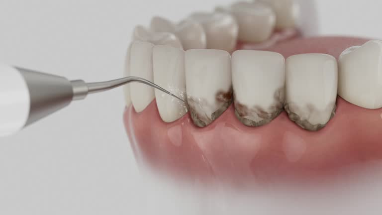 Reliable Dental contractor in Fort Meade, MD by Dentist Open Now